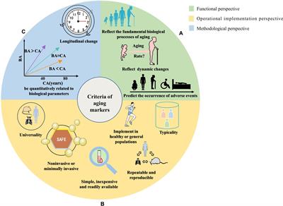 Progress in the study of aging marker criteria in human populations